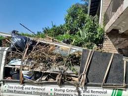 Best Same-Day Junk Removal Services  in Lyford, TX
