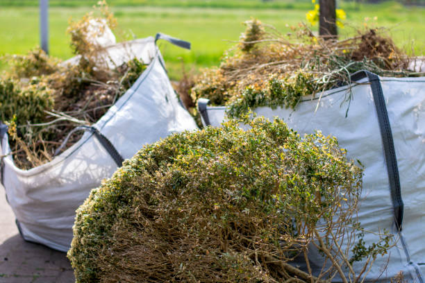 Recycling Services for Junk in Lyford, TX